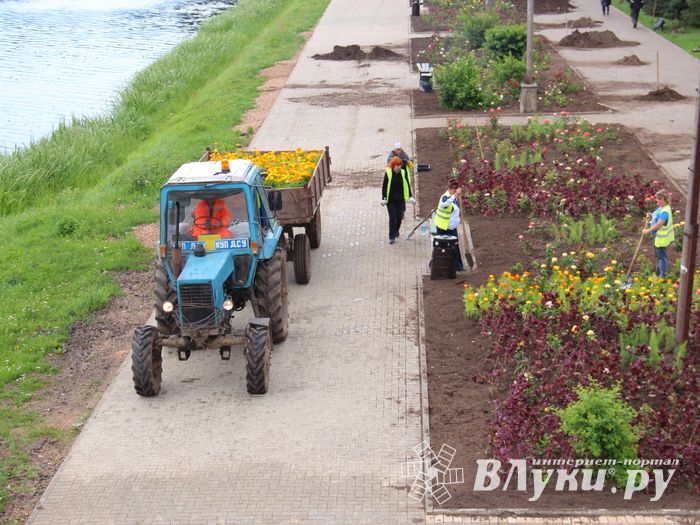 В Великих Луках сажают, стригут и красят (ФОТО)
