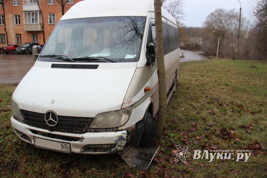На улице Пушкина водитель врезался в дерево (ФОТО)