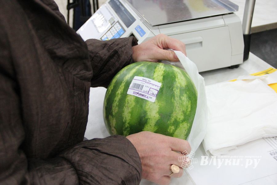 В Великих Луках проверили бахчевые (ФОТО)