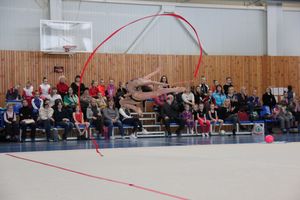 ​В Великих Луках прошли соревнования по художественной гимнастике (ФОТО)
