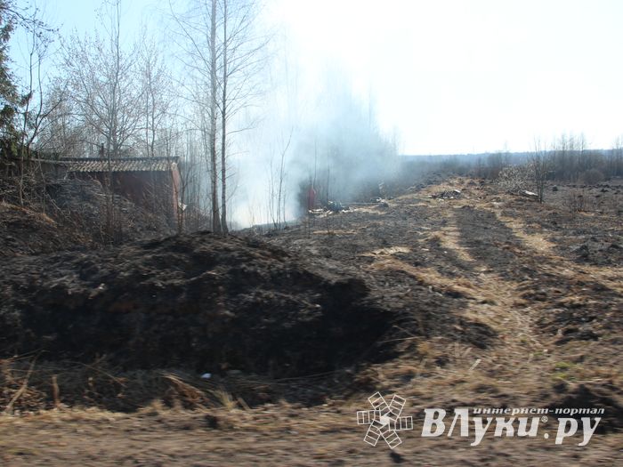 Великолукский район полыхает (ФОТО; ВИДЕО)