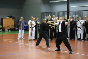 Великолучанин принял участие в семинаре по технике Бодзюцу (ФОТО)