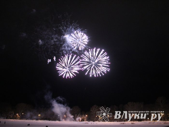 В Великих Луках зажглась новогодная ёлка (ФОТО)