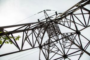 Фото: ВЛуки.ру