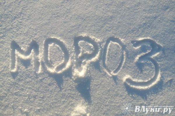 Сегодня ночью в Псковской области температура понизится до −20