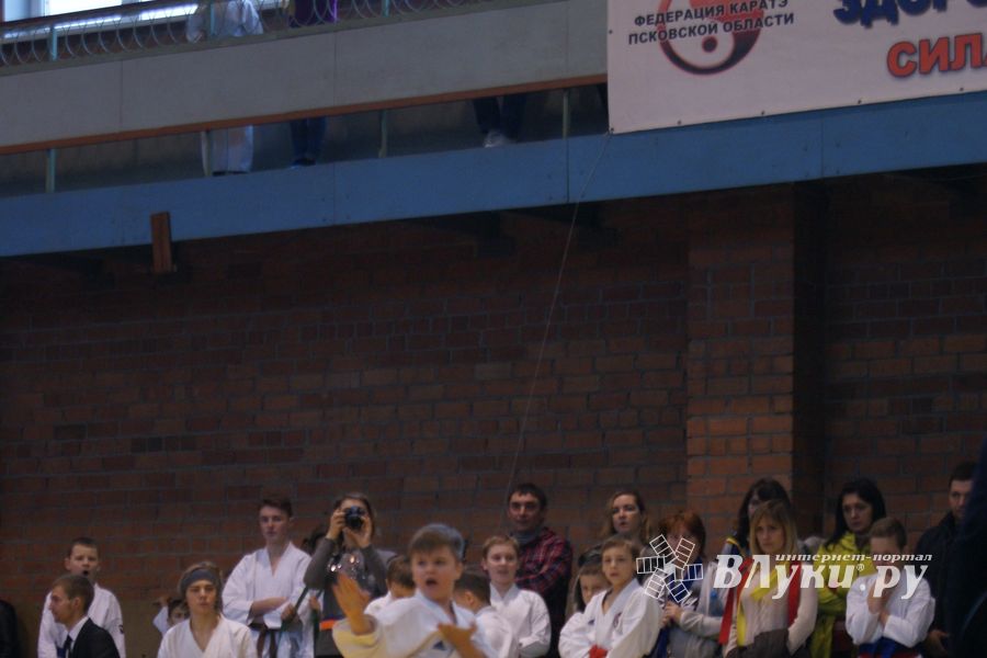 В Великих Луках прошли соревнования по каратэ (ФОТО)