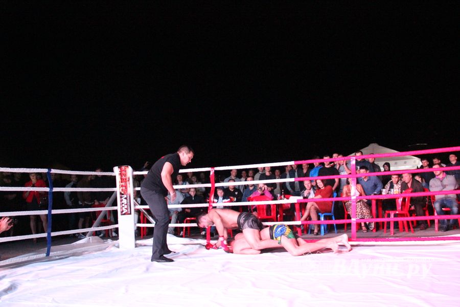 В Великих Луках прошли бои по смешанным боевым единоборствам ММА (фото)