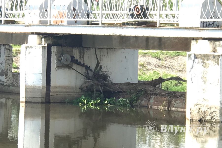 Фотофакт: застряла в плотине
