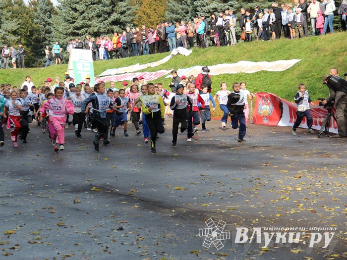 Кросс нации