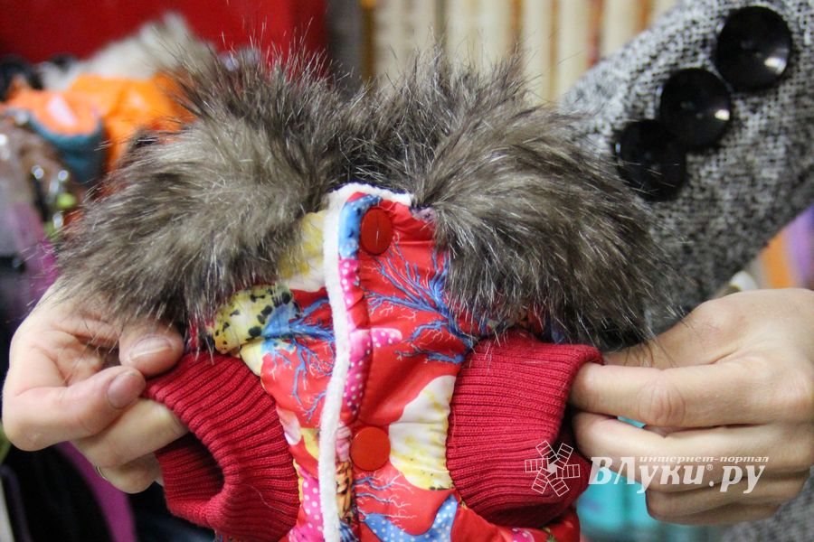 «Zooбастики»: подарите праздник своим любимцам! (ФОТО+ВИДЕО)