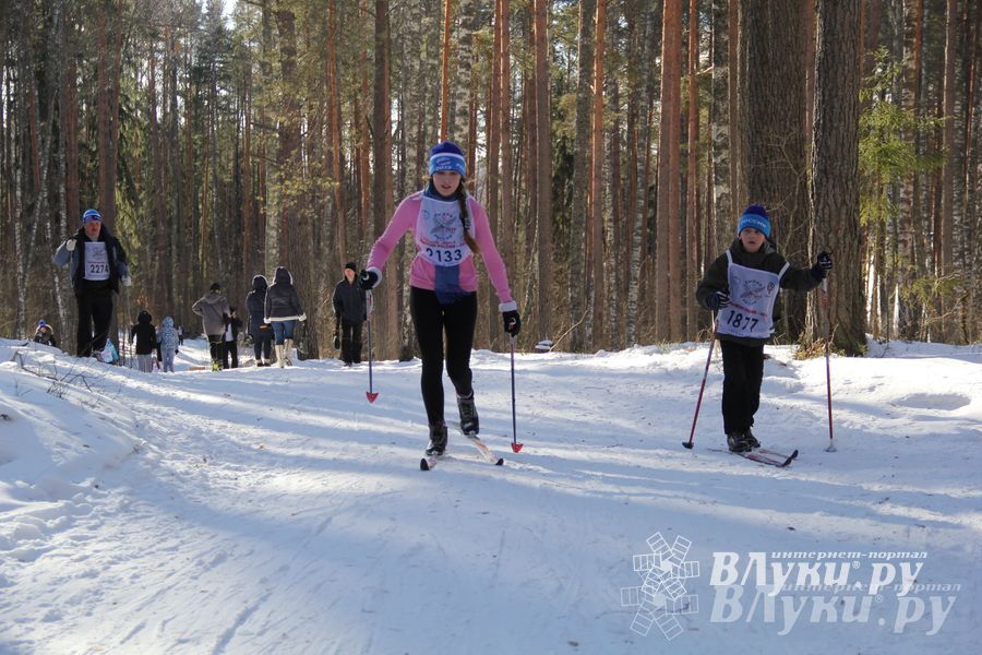 Всероссийская массовая лыжная гонка «Лыжня России 2015» состоялась в Великолукском районе (фото)