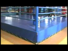 Импульс-ТВ: Школа единоборств. Бокс.