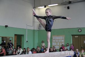 В Великих Луках прошел турнир по спортивной гимнастике (фото)