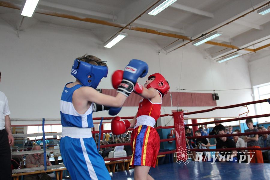 В Великих Луках прошло Первенство города по боксу (ФОТО)
