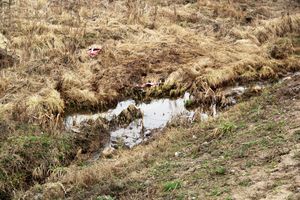 ДТП на трассе М-9: дорожные рабочие и гости из Волгограда (ФОТО)