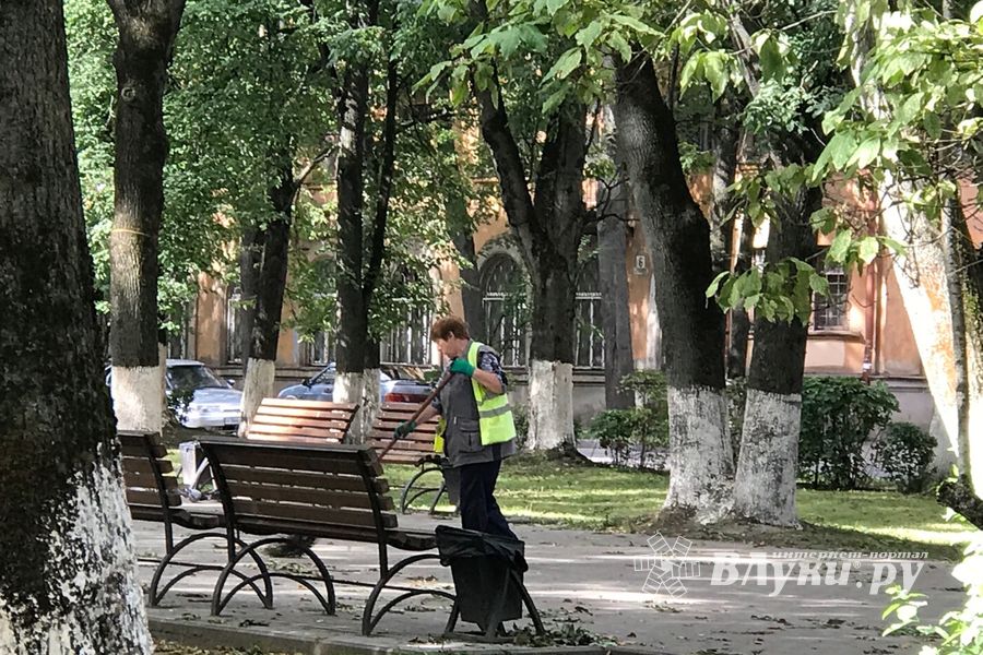 Парк Пушкина: «... А вкруг меня глухое запустенье...» (ФОТО)