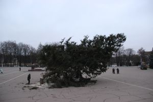 Необычное украшение сняли с главной ёлки Великих Лук (ФОТО)