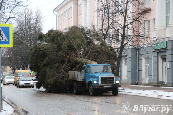 Вниманию автомобилистов Великих Лук: едет ёлка!
