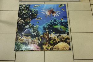 Шестая великолукская универсальная выставка открылась в Великих Луках (фото + видео)