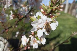 Прогноз погоды в Великих Луках на 3 мая