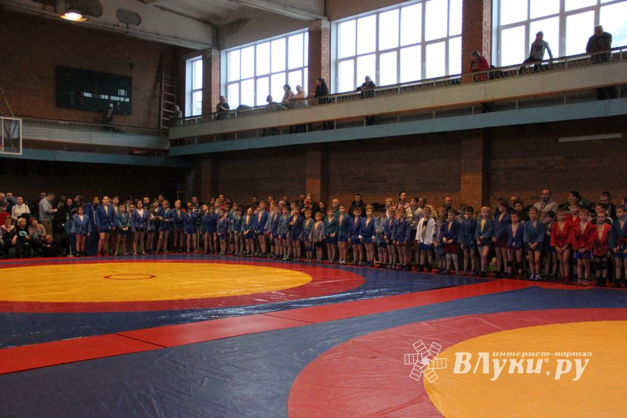 Открытый турнир по самбо «Новогодняя звезда-2019» прошел в Великих Луках (ФОТО)