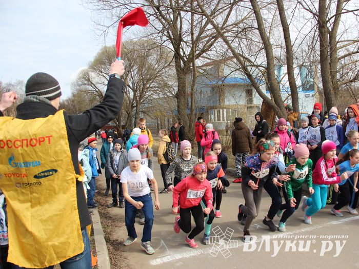 В Великих Луках прошёл легкоатлетический кросс (ФОТО)