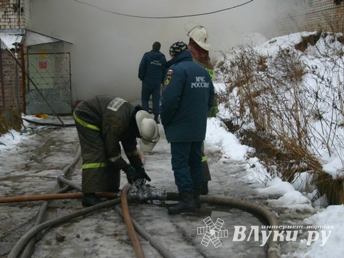 Неисправная печь в приюте для животных спровоцировала пожар