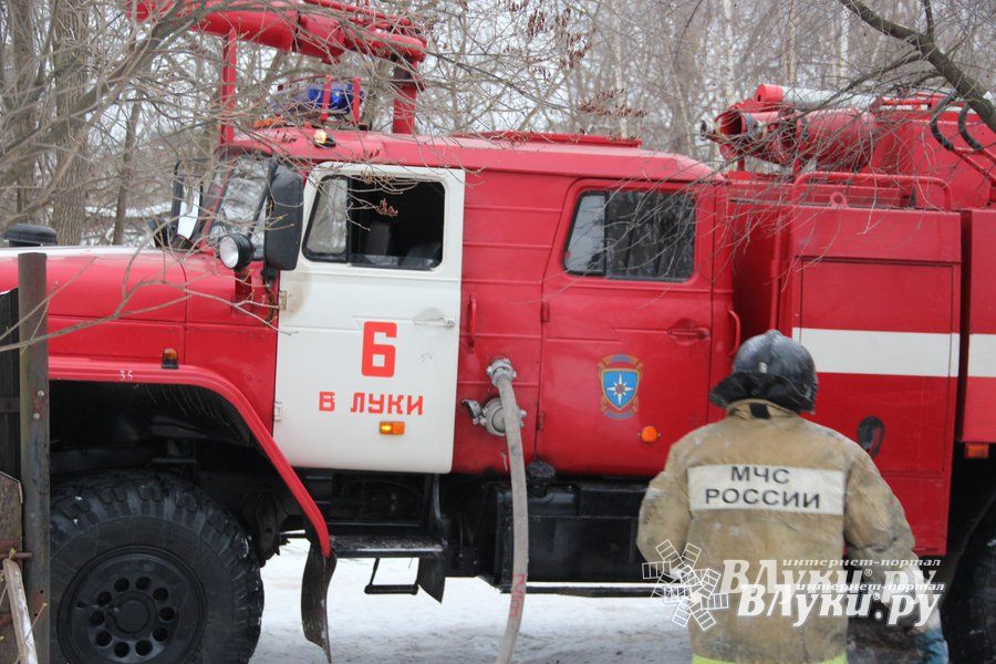 © ВЛуки.ру