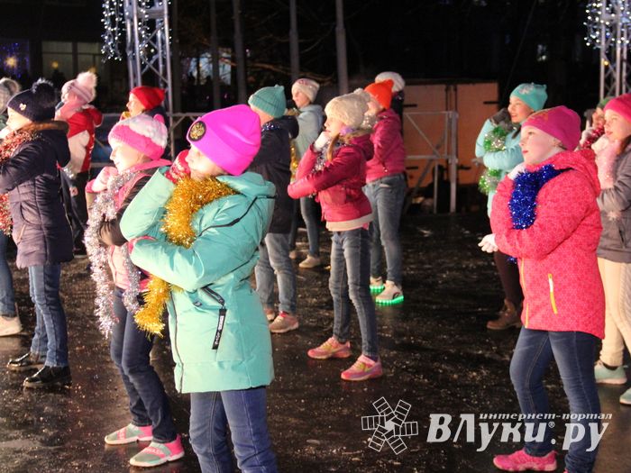 В Великих Луках зажгли Ёлку (ФОТО)