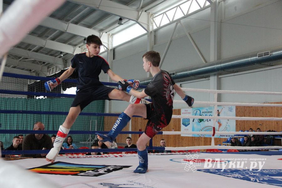Открытый кубок по смешанному боевому единоборству ММА прошел в Великих Луках (ФОТО)