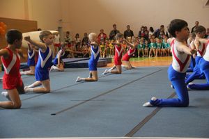 Парад гимнастики