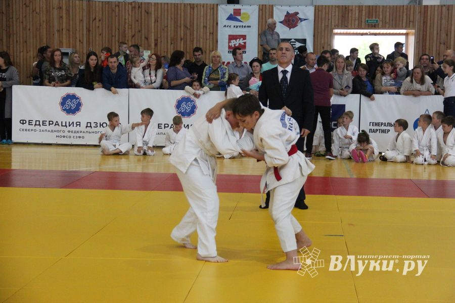 1-й Фестиваль боевых искусств состоялся в Великих Луках  (ФОТО)