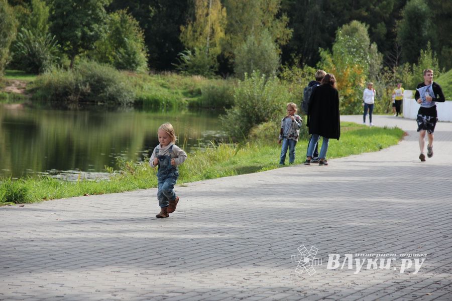 В Великих Луках прошёл «Кросс Нации-2018» (ФОТО)