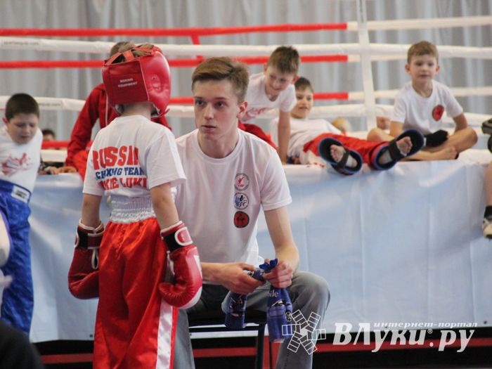 В Великих Луках проходит Кубок по кикбоксингу (ФОТО) (0+)