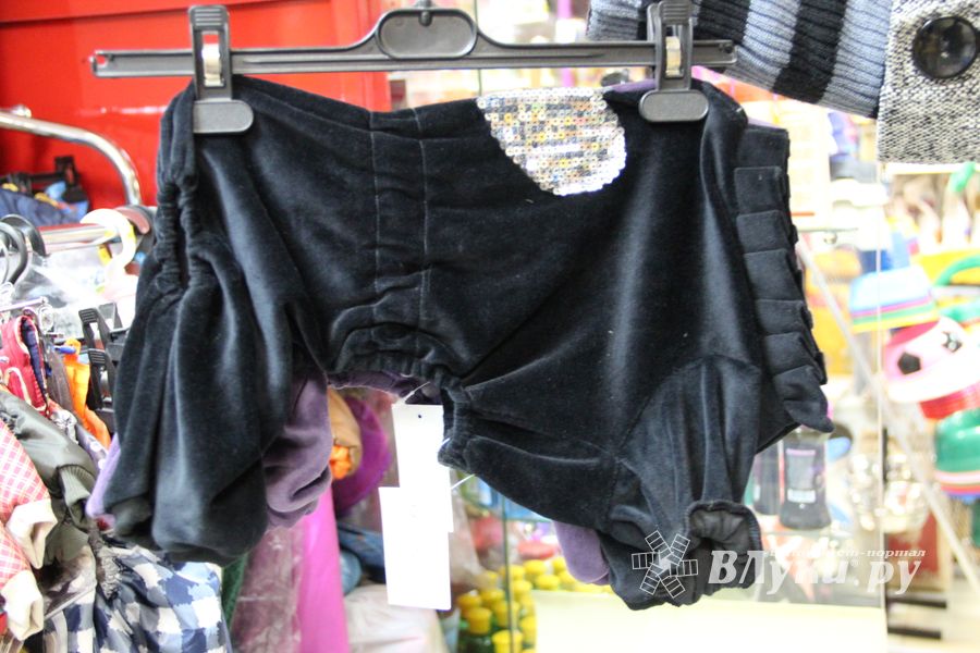 «Zooбастики»: подарите праздник своим любимцам! (ФОТО+ВИДЕО)