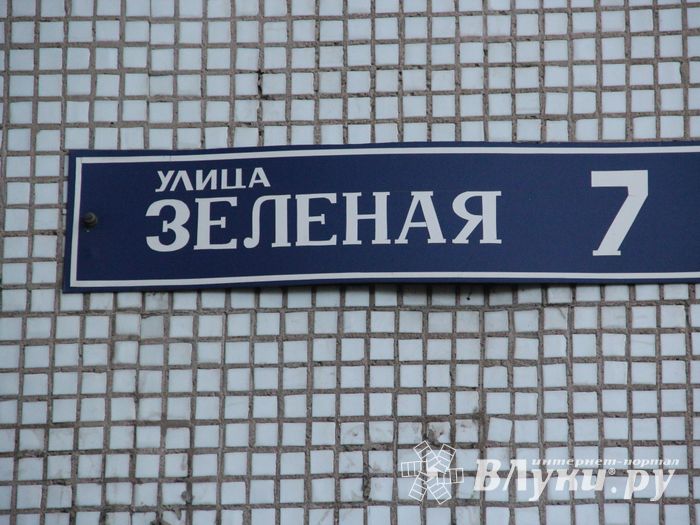 Жители улицы Зелёной выступили против переименования (ФОТО)