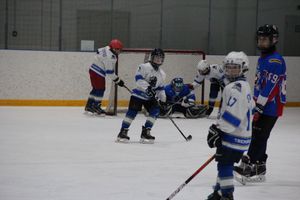 В Великих Луках прошел детский Открытый турнир по хоккею (ФОТО)