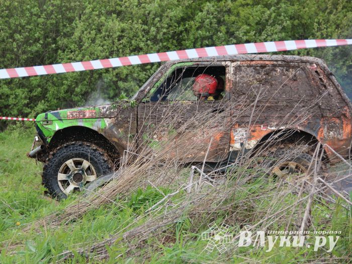 Кураж (ФОТО)