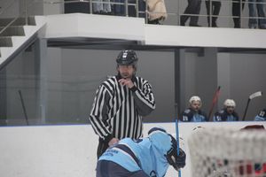 Великолукские хоккеисты в шаге от финала (ФОТО)