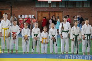 Турнир по каратэ