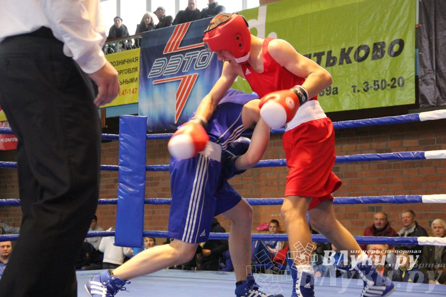 16-й Международный турнир по боксу (фото)