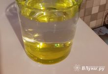 В Псковской области распространяется фейк о «биологической диверсии» со стороны Украины