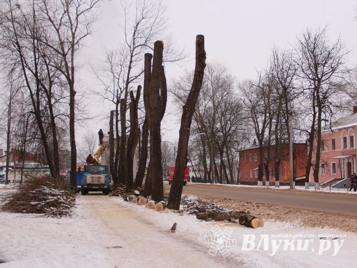 Одни ещё обрезают, а другие уже жалуются губернатору (ФОТО)