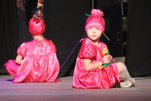 В Великих Луках отметили День матери (фото)