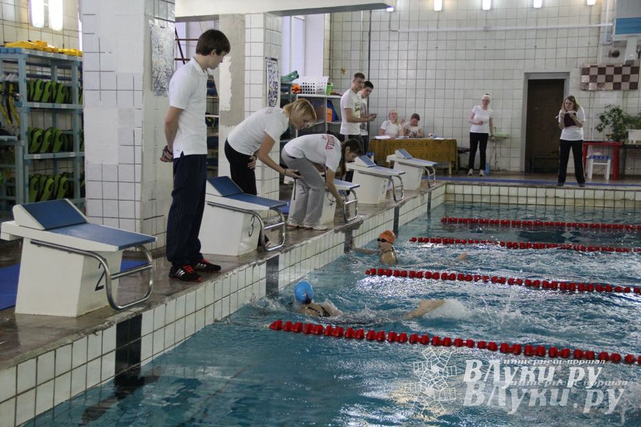 В Великих Луках прошло Первенство по плаванию (фото)
