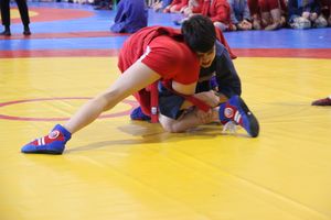 В Великих Луках проходит фестиваль (ФОТО)