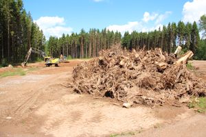Строительство велоцентра в Великих Луках: склад, спортплощадки, велодорожки и земляника (ФОТО)