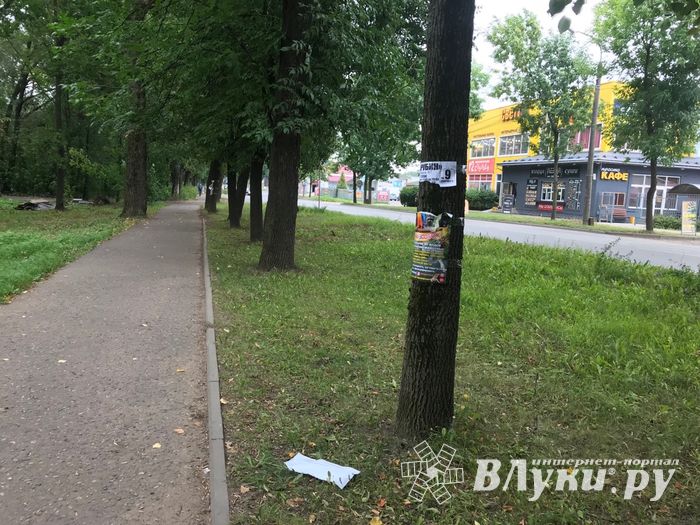 «Прибинтовали» скотчем (ФОТО)