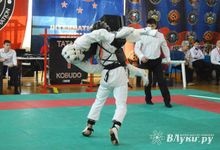 Студент ВГСХА стал бронзовым призером по боям кобудо (фото)