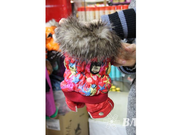 «Zooбастики»: подарите праздник своим любимцам! (ФОТО+ВИДЕО)